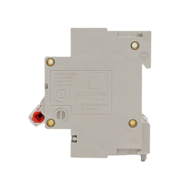Solarwize DC Circuit Breaker 100A 2P 12-500VDC