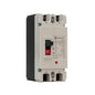 Solarwize DC Circuit Breaker 250A 2P 12-500VDC