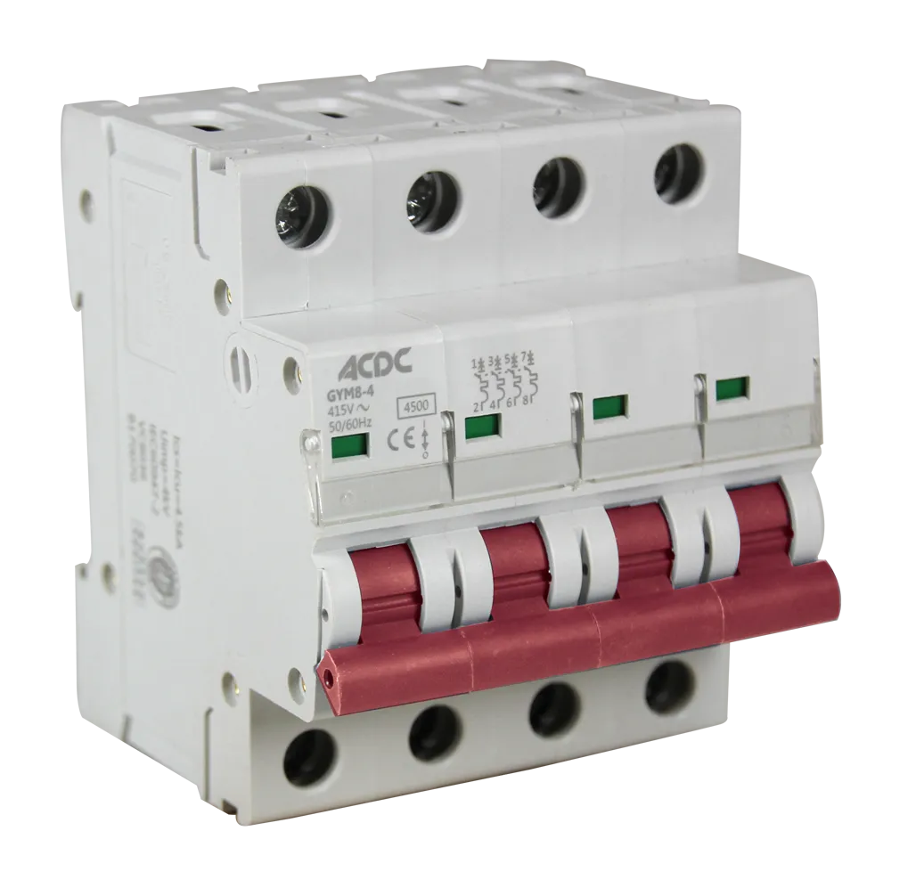 Solarwize 63A DC 4P Circuit Breaker 1000V