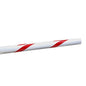 Centurion 3m Round Traffic Boom pole